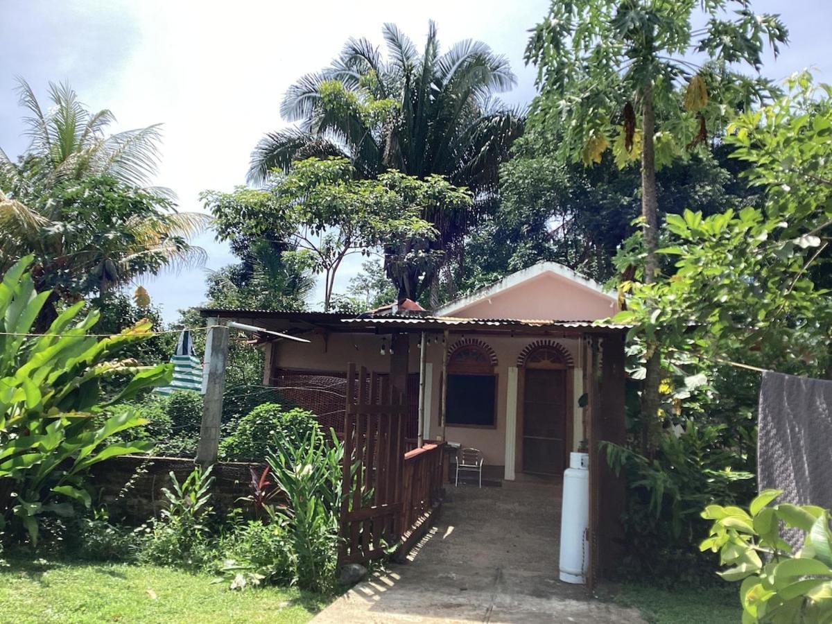 Exotic Flower Cabin2 Pool Agua Bendita Екстериор снимка